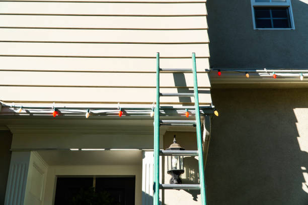 Best Stone Veneer Siding  in Trinity, NC