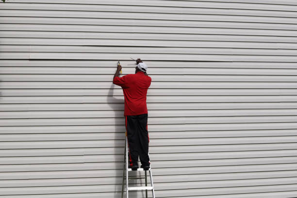 Best Brick Veneer Siding  in Trinity, NC
