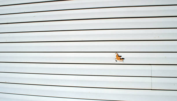 Affordable siding repair and maintenance services in Trinity, NC